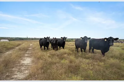 7307 Boswell Court, Lipan, TX 76462 - Photo 1