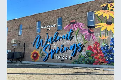 237 County Road 2565, Walnut Springs, TX 76690 - Photo 3