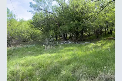 00 NE 9th Avenue, Mineral Wells, TX 76067 - Photo 11