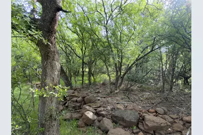 00 NE 9th Avenue, Mineral Wells, TX 76067 - Photo 3