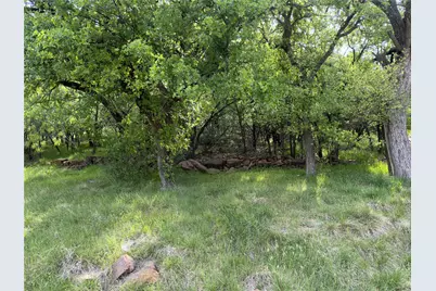 00 NE 9th Avenue, Mineral Wells, TX 76067 - Photo 7