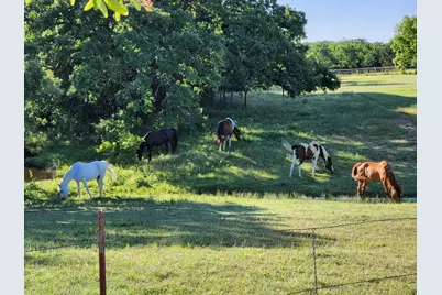 2212 Spring Hill Road, Aubrey, TX 76227 - Photo 5