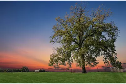 2212 Spring Hill Road, Aubrey, TX 76227 - Photo 35