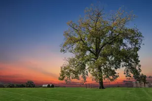 2212 Spring Hill Rd, Aubrey, TX 76227 - Photo 35