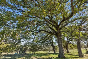 2212 Spring Hill Rd, Aubrey, TX 76227 - Photo 29