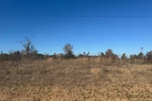 16705 Ridgeline Loop, Winona, TX 75792 - Photo 1