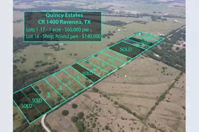 Lot 9 County Rd 1400, Ravenna, TX 75476 - Photo 3