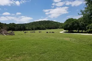 1584 Hidden Oaks Trail Trail, Glen Rose, TX 76690 - Photo 9