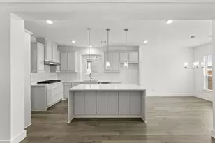 1351 Melcer St, Frisco, TX 75036 - Photo 23