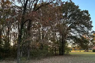 55125 Private Rd, Alba, TX 75410 - Photo 13