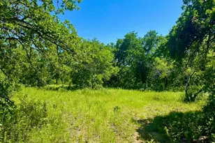 Lot 39 Kilkenny Rd, Poolville, TX 76487 - Photo 1