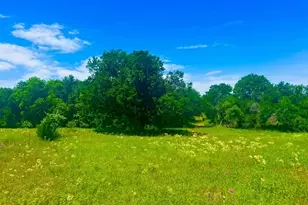 Lot 100 Arlow Rd, Poolville, TX 76487 - Photo 1