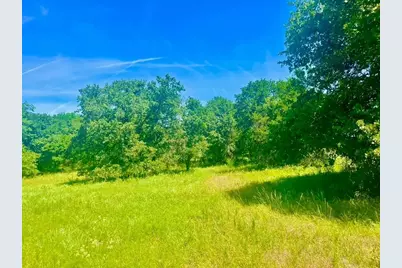 Lot 98 Arlow Rd, Poolville, TX 76487 - Photo 3