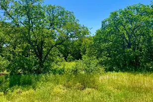 Lot 40 Kilkenny Rd, Poolville, TX 76487 - Photo 1