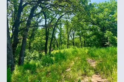 Lot 44 Antrim Ct, Poolville, TX 76487 - Photo 1