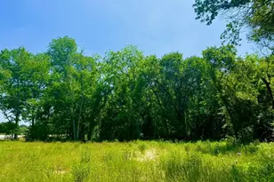 Lot 46 Antrim Ct, Poolville, TX 76487 - Photo 1