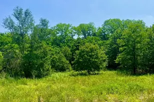 Lot 47 Antrim Ct, Poolville, TX 76487 - Photo 1