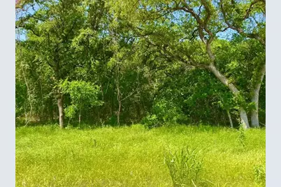 Lot 48 Antrim Ct, Poolville, TX 76487 - Photo 3
