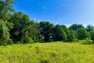 Lot 53 Wicklow Ct, Poolville, TX 76487 - Photo 1