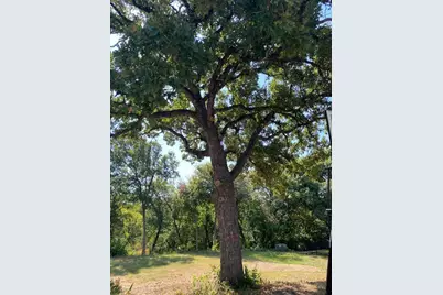 1236 Kelpie Court, Fort Worth, TX 76111 - Photo 5