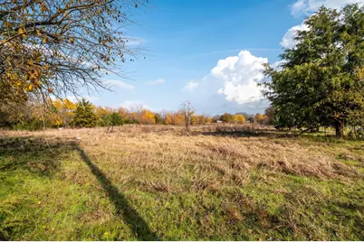 3600 E Fm-1396, Ivanhoe, TX 75447 - Photo 5