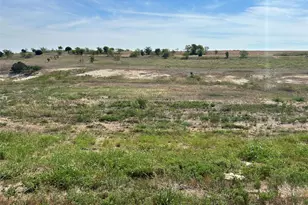 1025 Bear Crk Rnch Rd, Aledo, TX 76008 - Photo 1