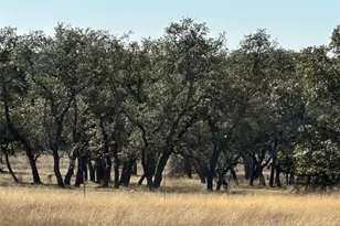 Lot 186 Blackbuck Ridge Dr, Lampasas, TX 76550 - Photo 9