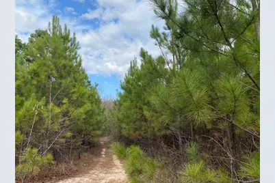 Tbd Edmondson, Athens, TX 75751 - Photo 3