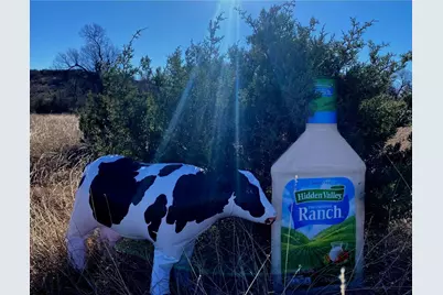 Lot 25 Hidden Valley Road, Glen Rose, TX 76043 - Photo 3