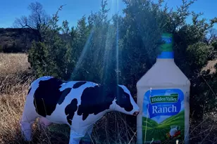 Lot 25 Hidden Valley Rd, Glen Rose, TX 76043 - Photo 3