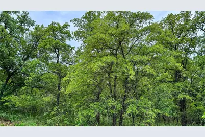143 Briarwood Trail, Nocona, TX 76255 - Photo 1