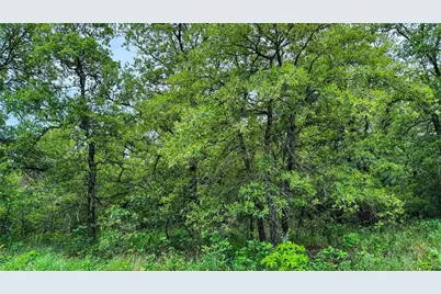 143 Briarwood Trail, Nocona, TX 76255 - Photo 17