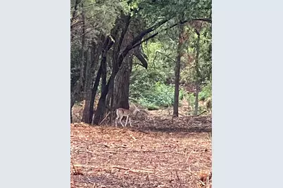 0000 Pioneer Crossing, Weatherford, TX 76088 - Photo 9
