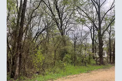 246 4th Street, Cooper, TX 75432 - Photo 3