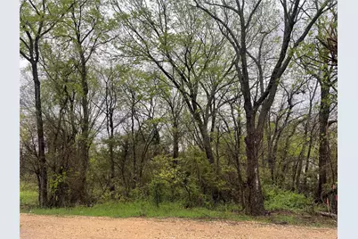 246 4th Street, Cooper, TX 75432 - Photo 1