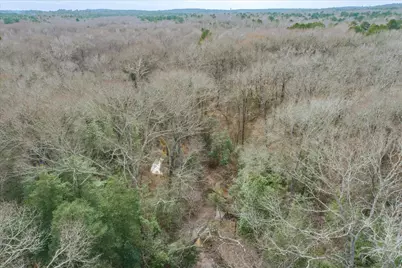 Tbd County Road 4917, Ben Wheeler, TX 75754 - Photo 13