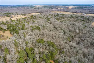 Tbd County Road 4917, Ben Wheeler, TX 75754 - Photo 3