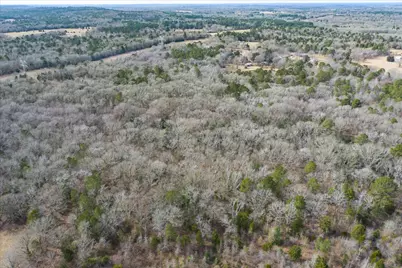 Tbd County Road 4917, Ben Wheeler, TX 75754 - Photo 7