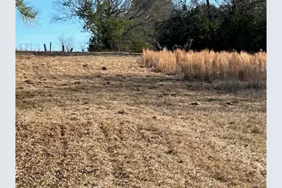 562 County Road 4430, Winnsboro, TX 75494 - Photo 5