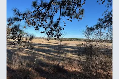 562 County Road 4430, Winnsboro, TX 75494 - Photo 15