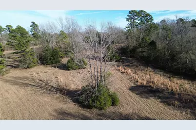 562 County Road 4430, Winnsboro, TX 75494 - Photo 19