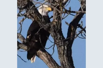 126 Diamond Oaks Drive, Nocona, TX 76255 - Photo 31