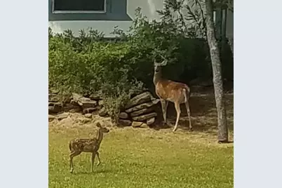 126 Diamond Oaks Drive, Nocona, TX 76255 - Photo 29