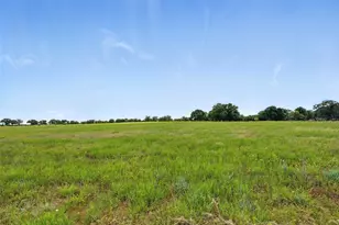 2521 Brannon Ln, Perrin, TX 76486 - Photo 35