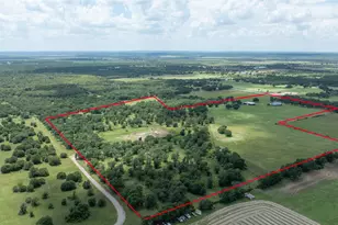 2521 Brannon Ln, Perrin, TX 76486 - Photo 31