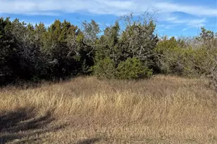 44125 Cedar Hill Dr, Whitney, TX 76692 - Photo 1