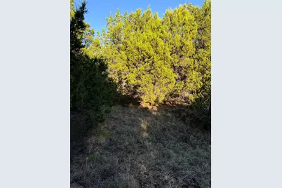 43002 Whisperwood Drive, Whitney, TX 76692 - Photo 15