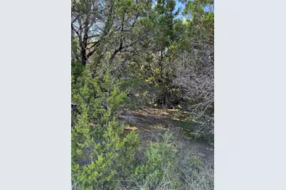 43002 Whisperwood Drive, Whitney, TX 76692 - Photo 9