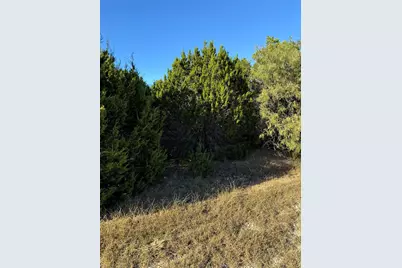 43002 Whisperwood Drive, Whitney, TX 76692 - Photo 11