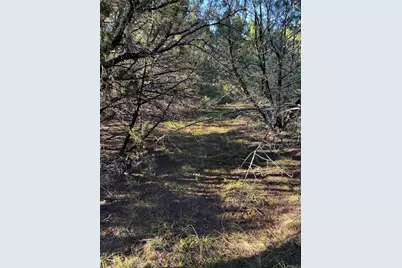 43002 Whisperwood Drive, Whitney, TX 76692 - Photo 17